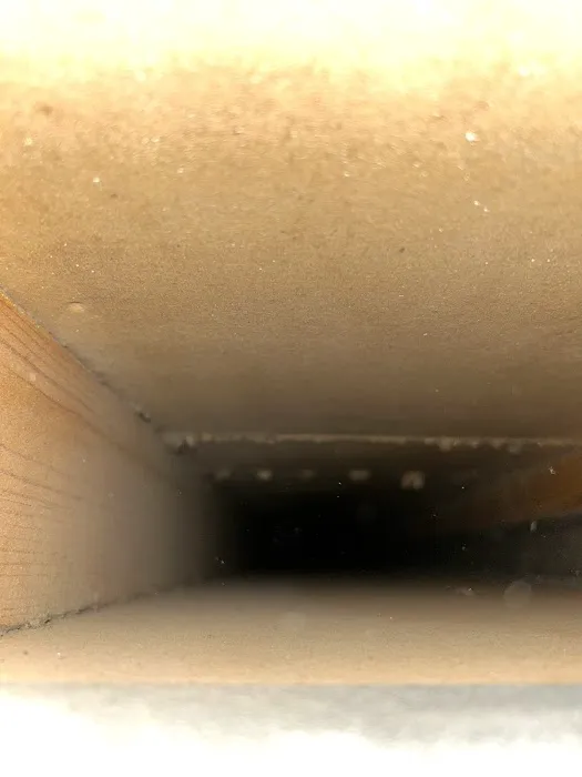 Essential Air Picture 5