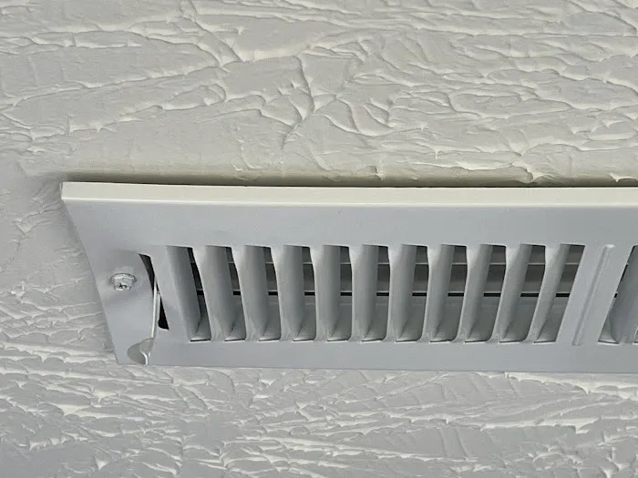 Essential Air Picture 8