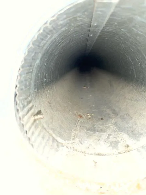 Essential Air Picture 1