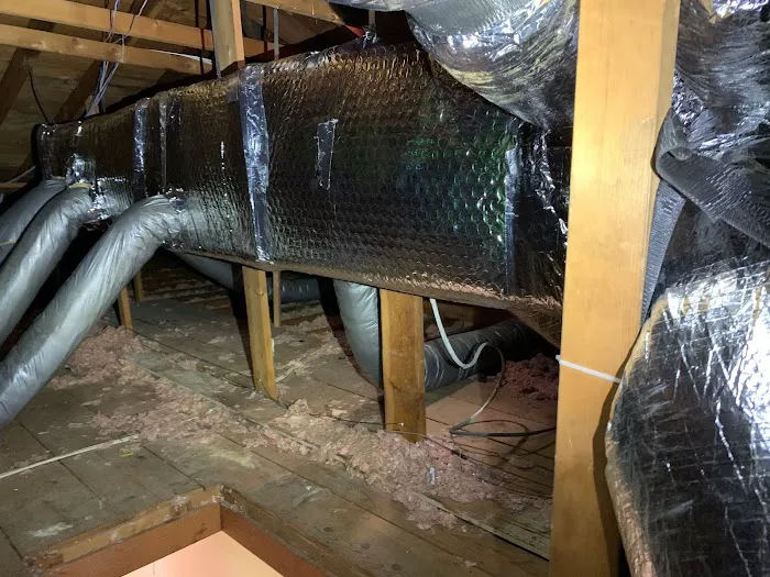 Lifestyle Comfort Solutions Picture 2