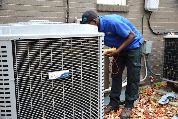 Lifestyle Comfort Solutions Picture 7