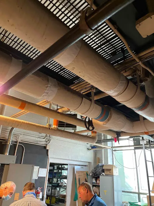 Lifestyle Comfort Solutions Picture 4