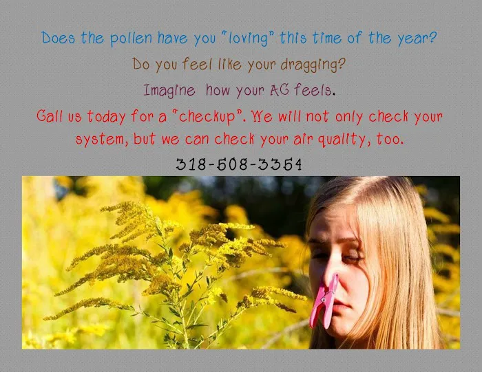 Bass Heating and Cooling, LLC Picture 7