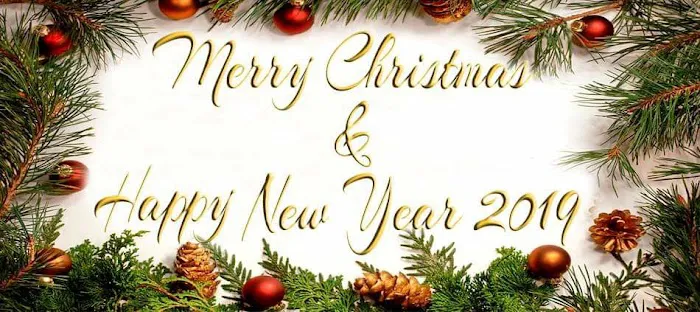 Wolf & Sons Inc Picture 4