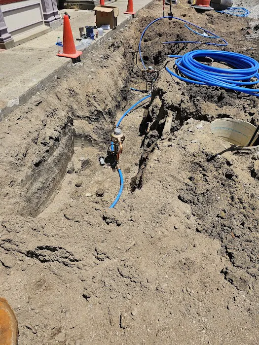 Shepard & Shepard Picture 9