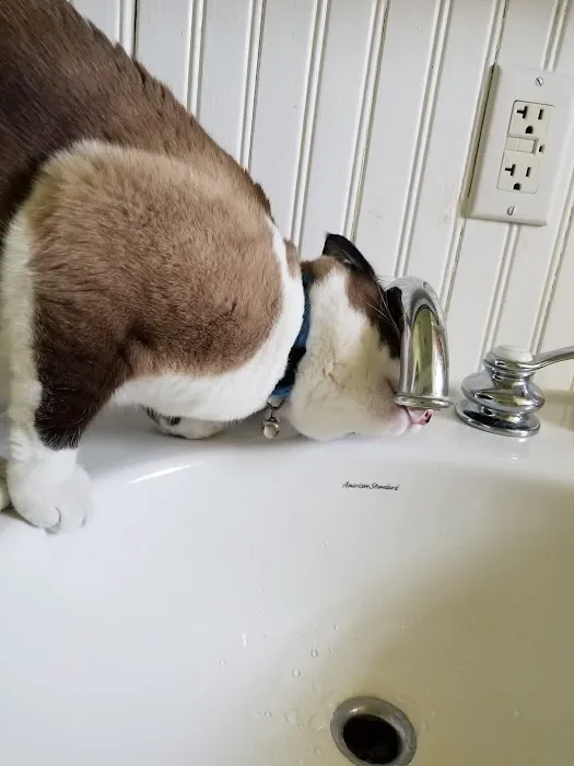 B. F. Mahn & Sons, Inc. Picture 6