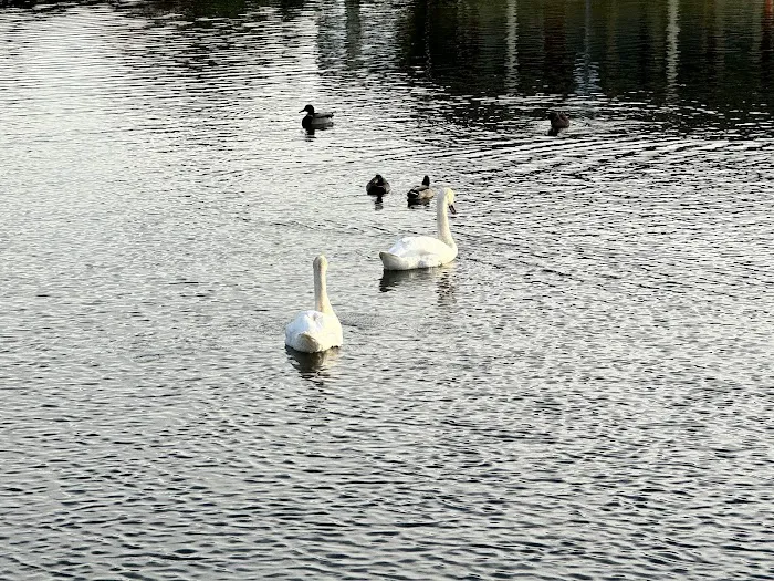 A&J Air Conditioning Repair Services Picture 3