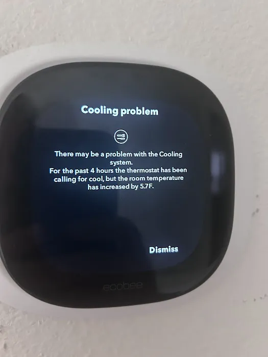 Mechanical One Picture 5