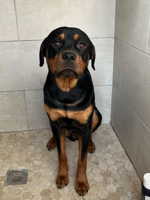 Cool Baby Air Conditioning and Heating Picture 4