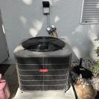 Just True Air LLC ico