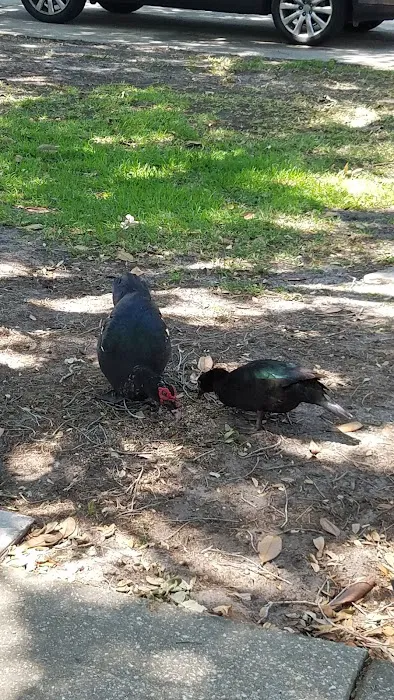 Best HVAC Repair Service Picture 8