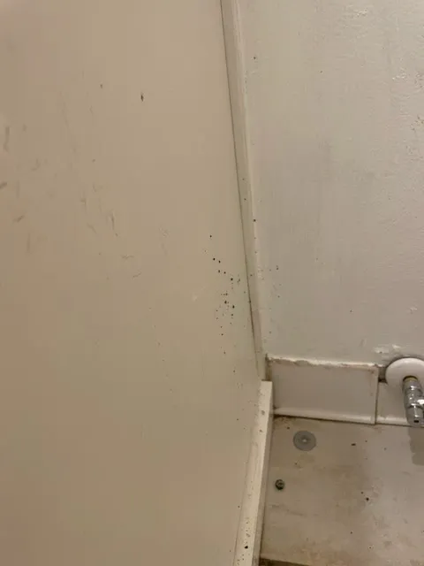 Sunshine Air and Plumbing Picture 5