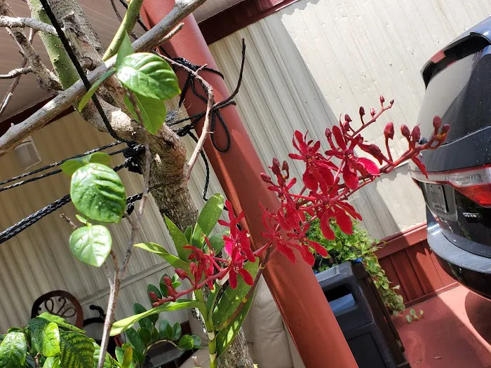 AC Repair Orlando FL Picture 5