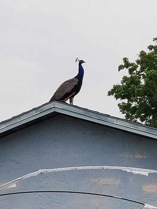 AC Repair Orlando FL Picture 8