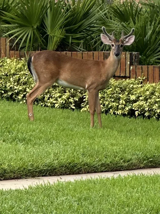 Titan Air Conditioning & Heating Picture 6