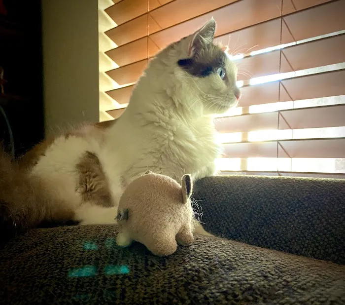 Pro-Tech Air Conditioning & Plumbing Service, Inc Picture 1