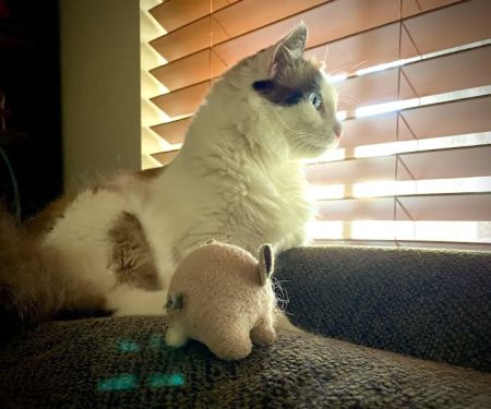 Pro-Tech Air Conditioning & Plumbing Service, Inc