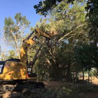 QDCA Services LLC. ico