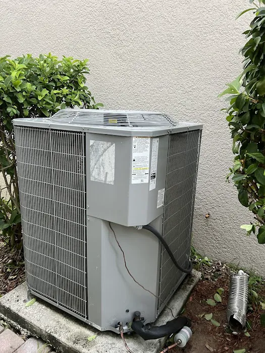 Clear Comfort Picture 1