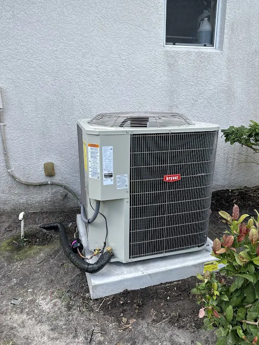 Clear Comfort Picture 8