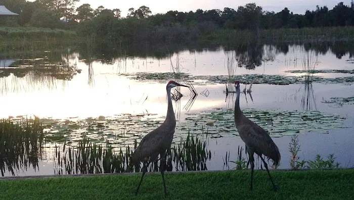 Air Comfort Technology Picture 3