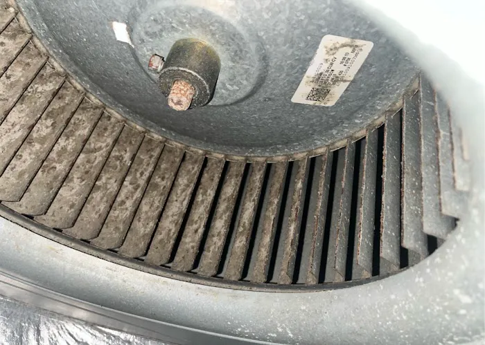 Reliance Pro Picture 1