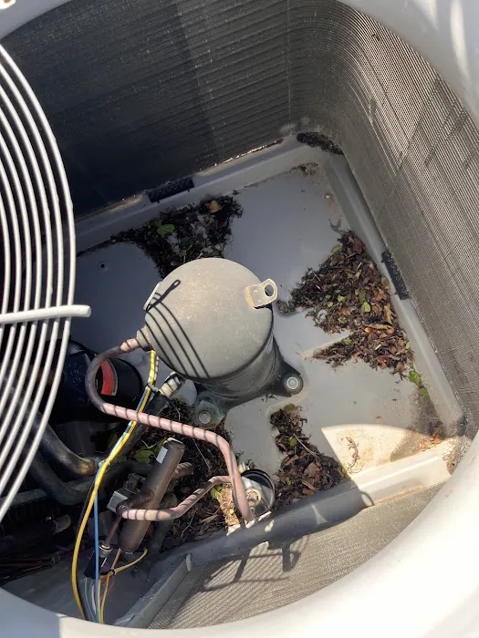 Reliance Pro Picture 4