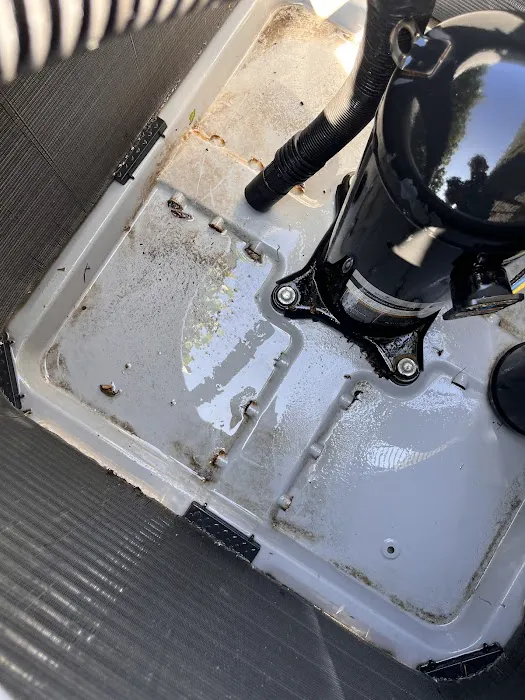 Reliance Pro Picture 5