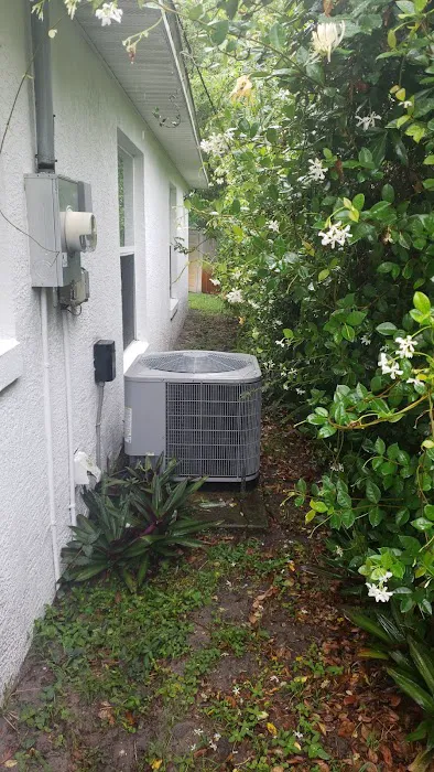 Tropical Air of Central Fl Picture 3