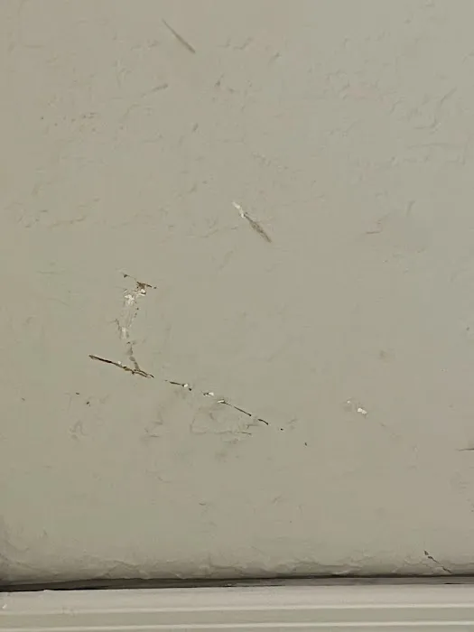 Alpha Air Solutions, LLC Picture 8