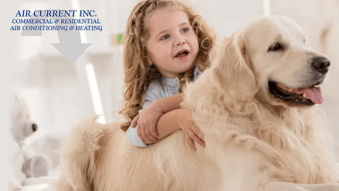 Air Current Inc. Picture 3