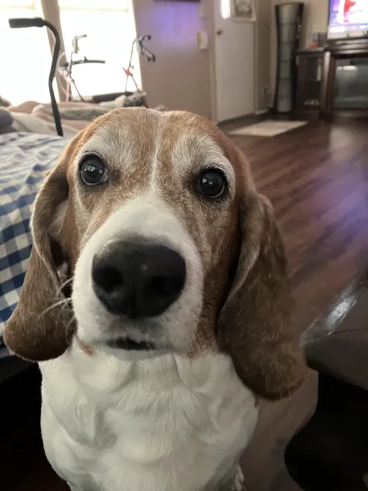 Frank Gay Services Picture 10