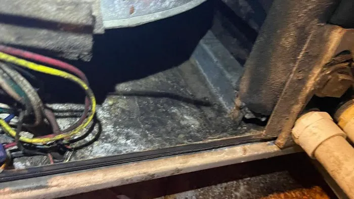 S&S Cooling & plumbing Solutions celebration Picture 4