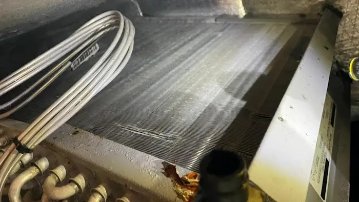 S&S Cooling & plumbing Solutions celebration Picture 5