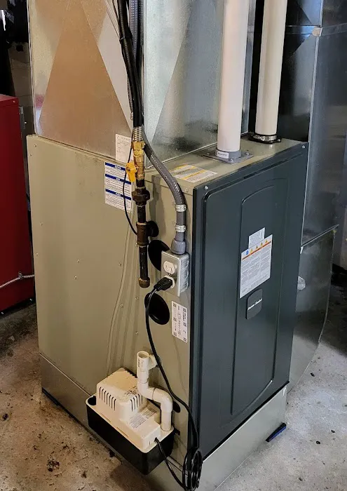 Bear's Air Picture 4