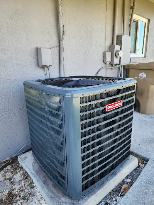 Bear's Air Picture 2