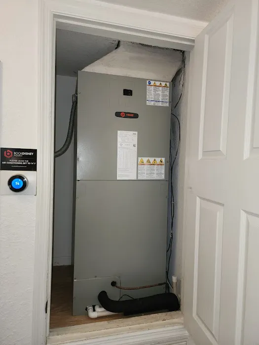 Bear's Air Picture 6