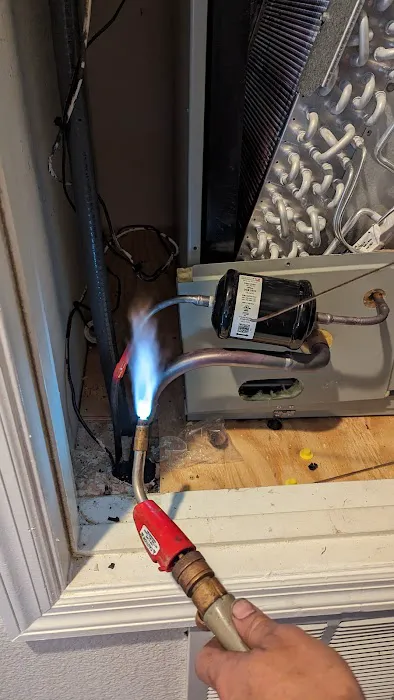 Bear's Air Picture 7