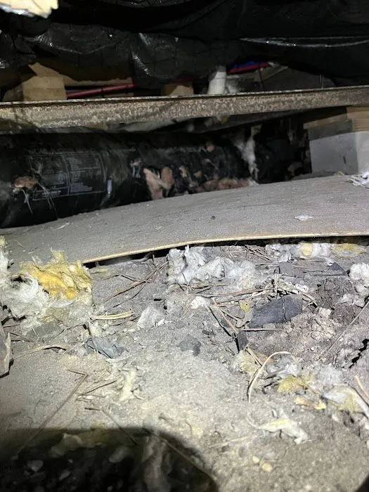 Graham Heating & Air Conditioning - Kissimmee (An Arctic Air Holdings Company) Picture 5