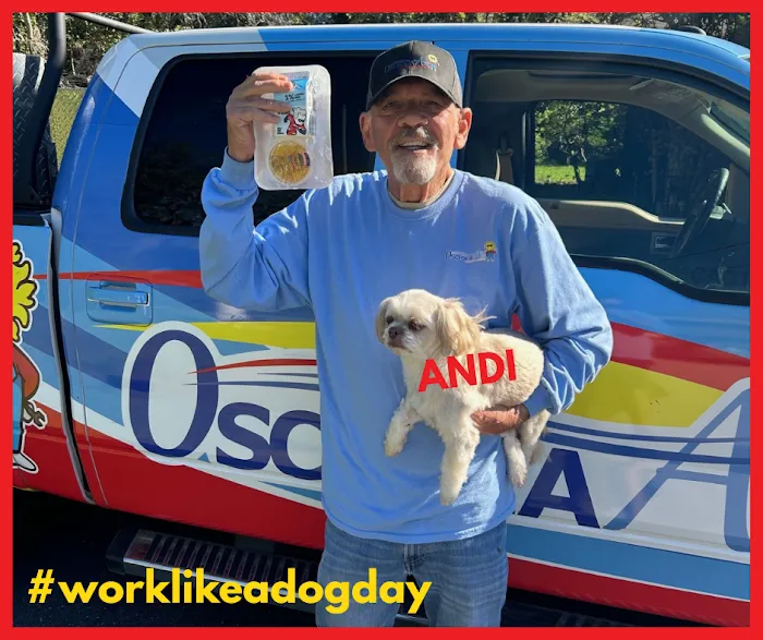 Osceola Air Picture 3