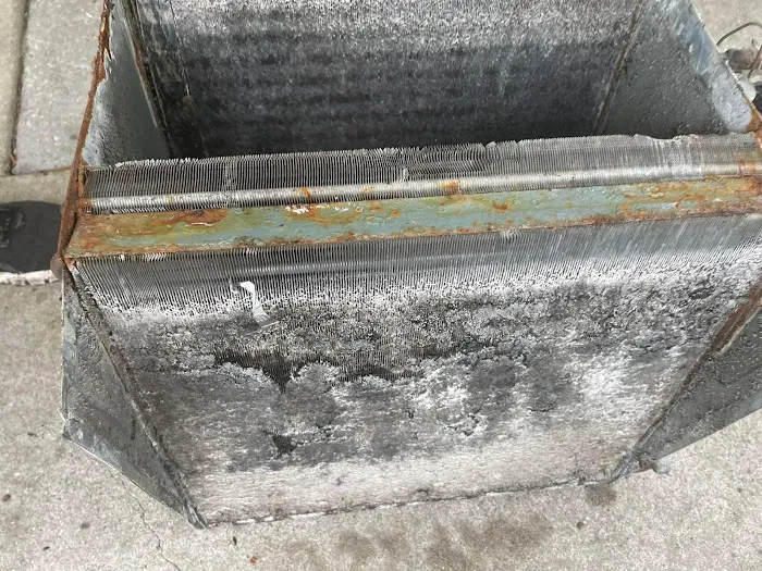 Shaw Air, LLC. Picture 10