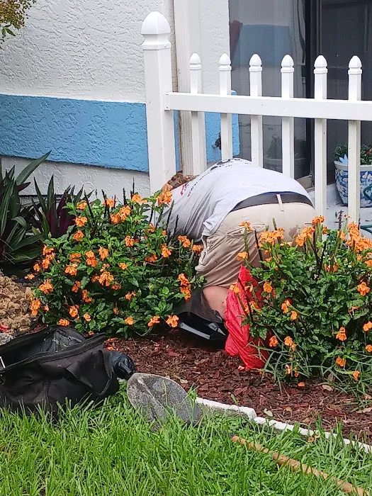 AND Services Picture 9