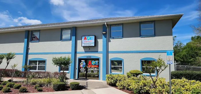 Ace Solves It All Picture 6