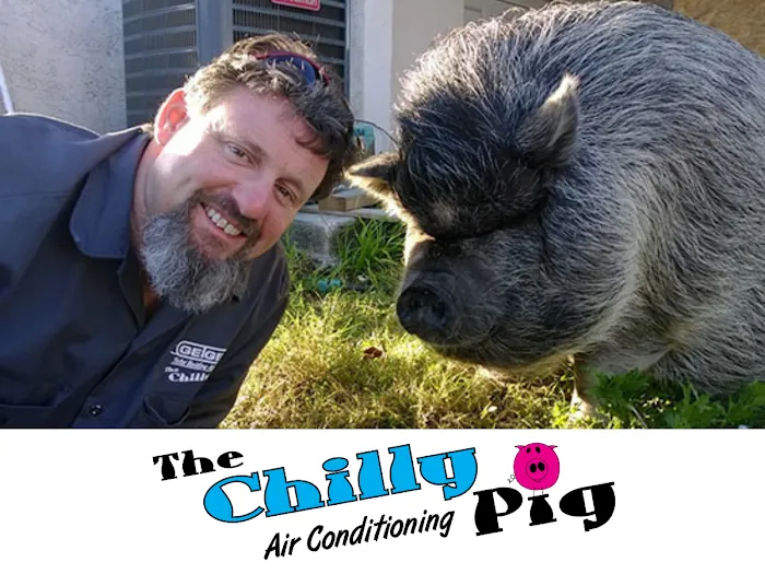 The Chilly Pig Picture 3