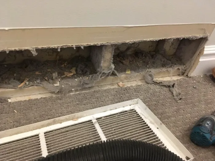 ABC Cleaning Inc. of Cocoa Picture 2