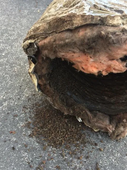 ABC Cleaning Inc. of Cocoa Picture 5