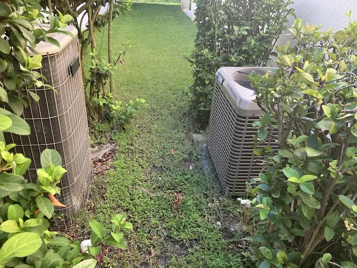 Rack Electric Picture 1