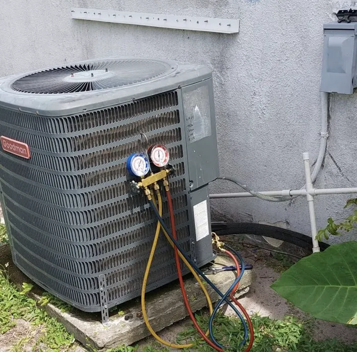 Rack Electric Picture 6