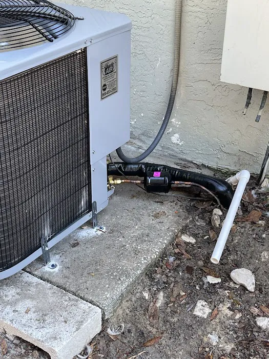 Angelic Air Picture 2