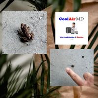 Cool Air M.D. Air Conditioning & Heating ico